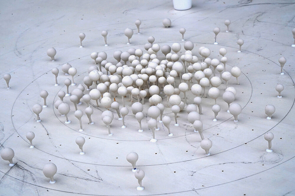 2025 Oree Production 3